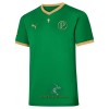 Officiële Voetbalshirt Palmeiras Copa Rio Thuis 70th Jubileum 2021-22 - Heren